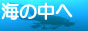 C̒ցA88~31̃oi[