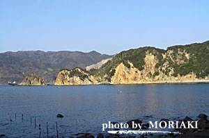 黄金崎